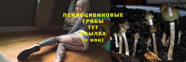 амф Михайлов